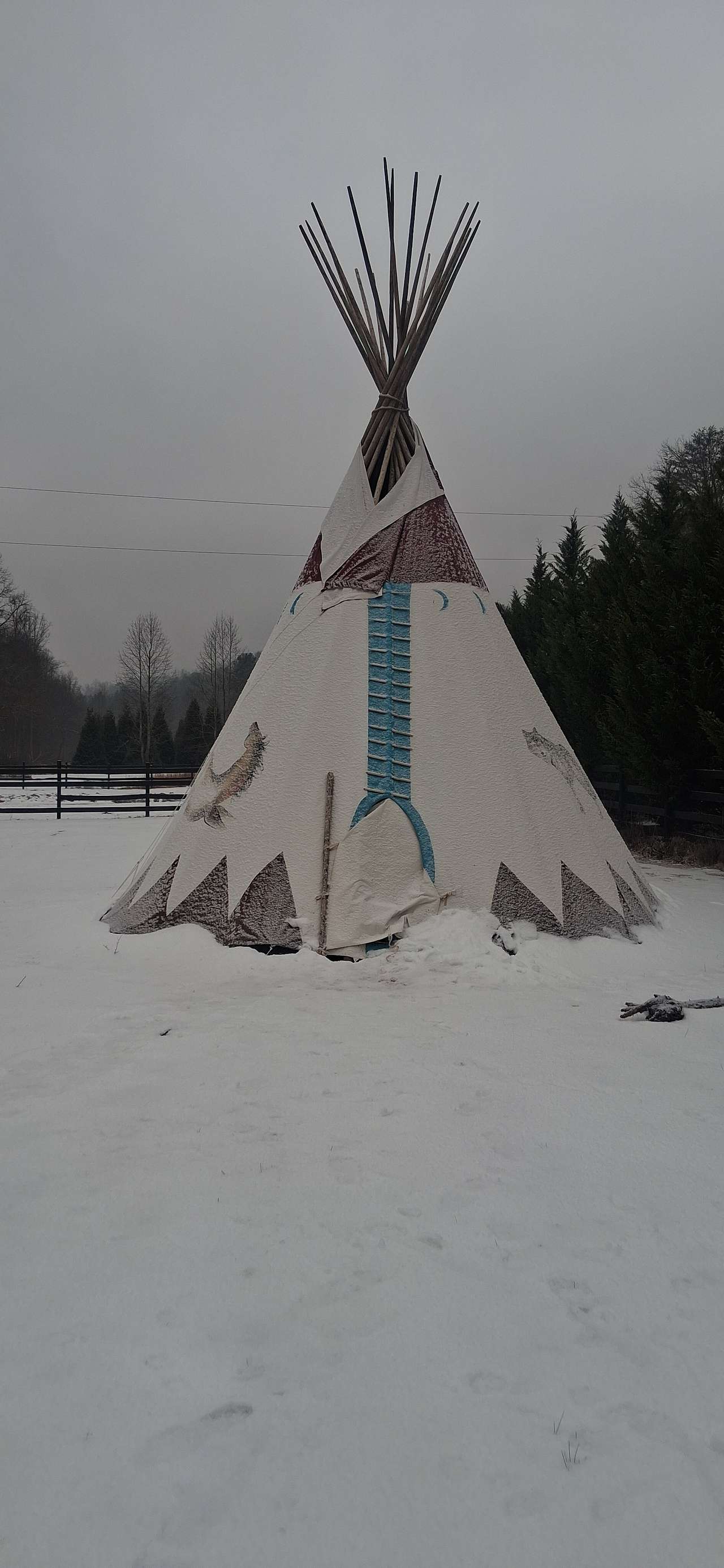 Native Gypsy Vanners Camping