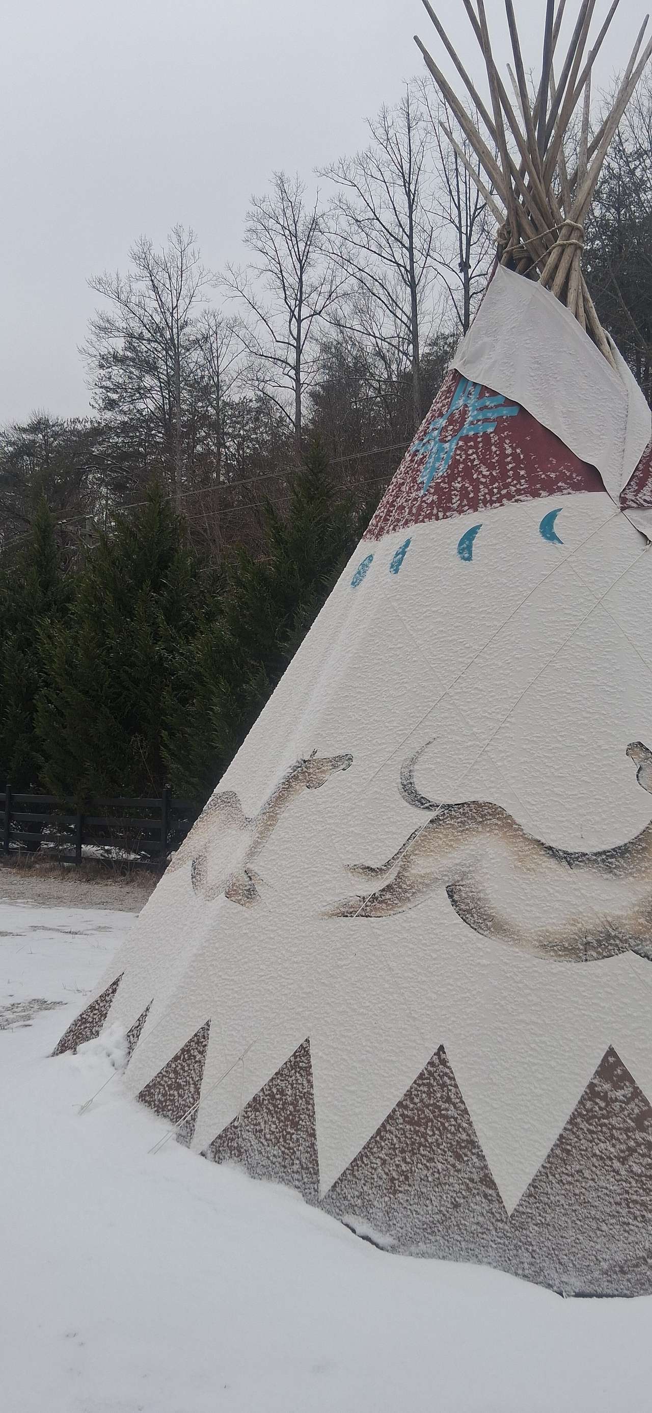 Native Gypsy Vanners Camping