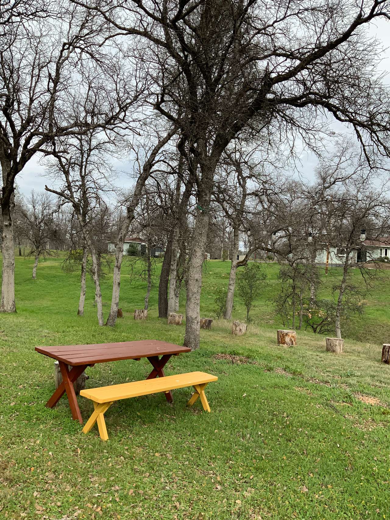 Aristocrat Acres