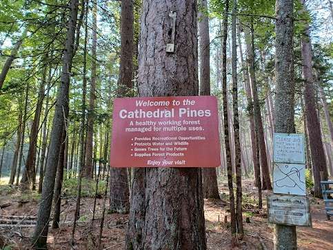 Cathedral Pines Campground