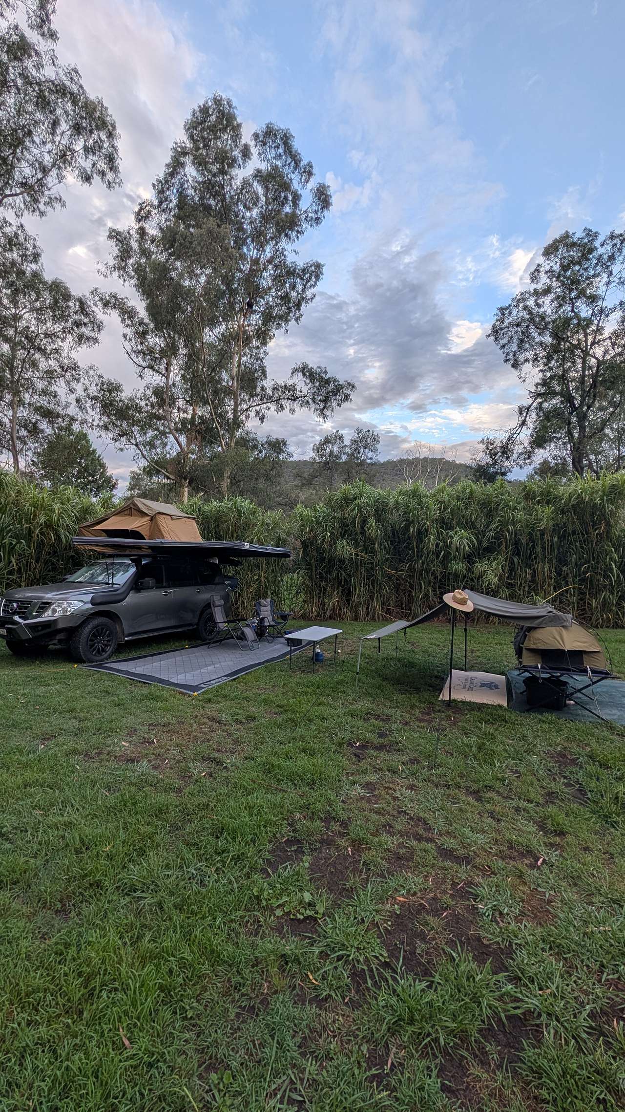 Whispering Gums Colo River Camping