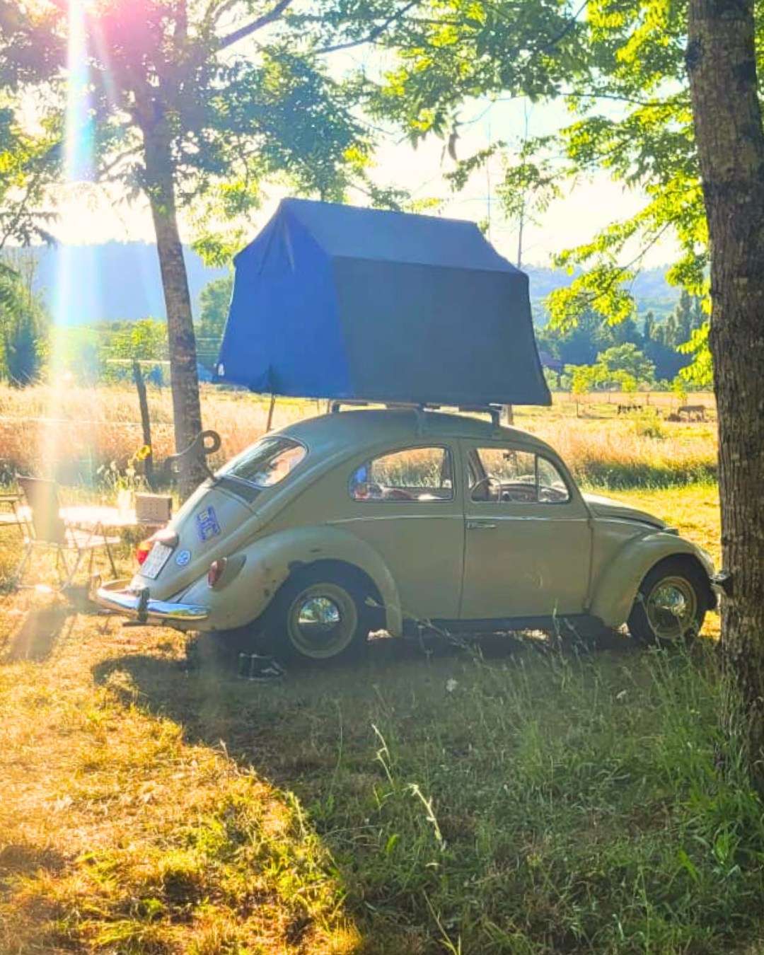 Camping Le Sorbier