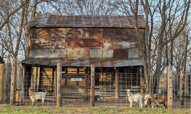 Wandering Trail Farms