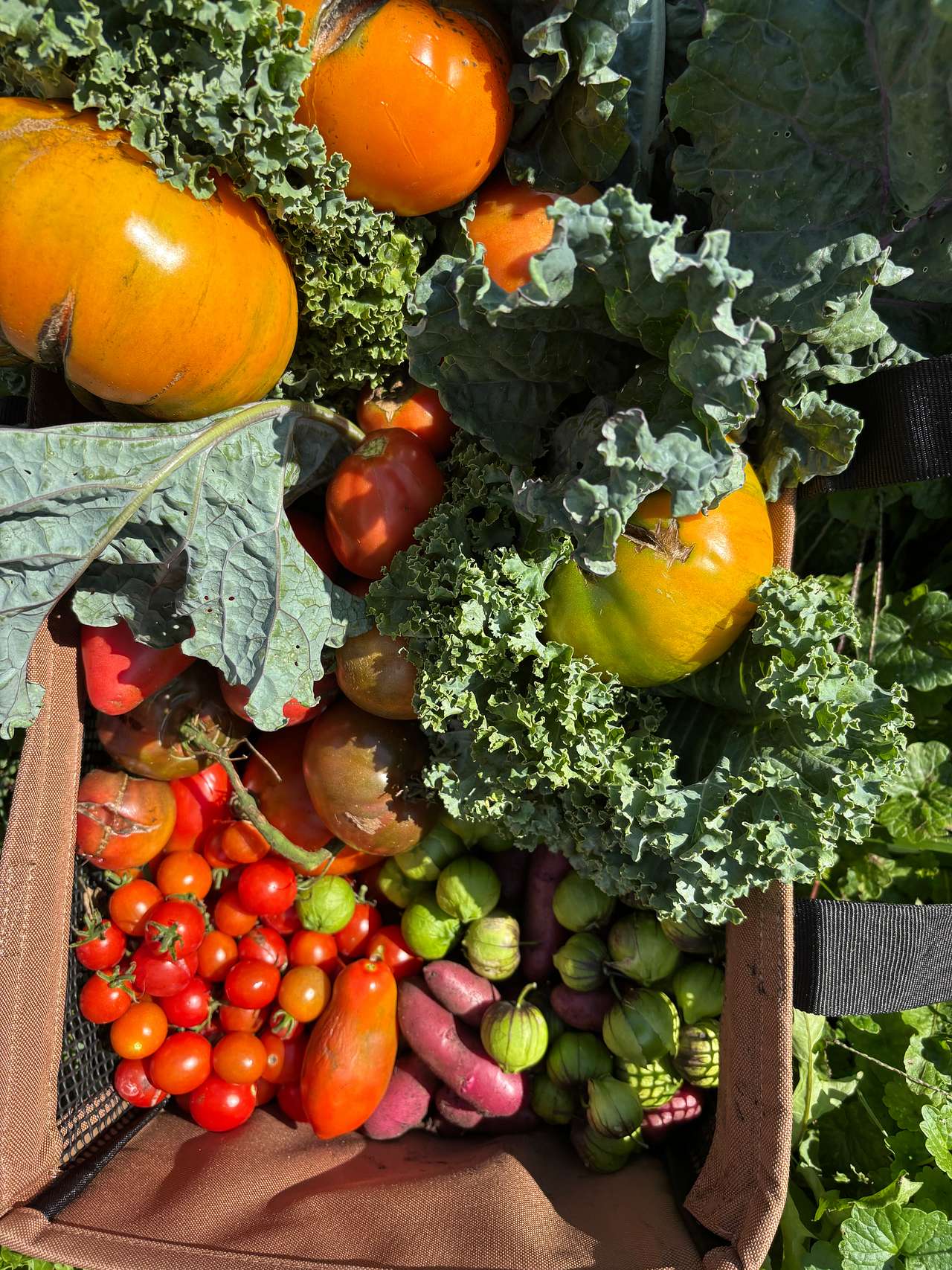 We grow a variety of vegetables, fruits, and herbs on our small farm.