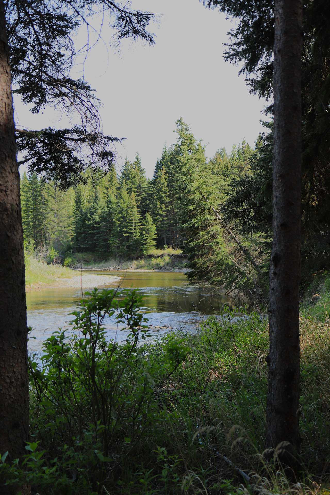 Rocky Wolf Ranch Ltd.