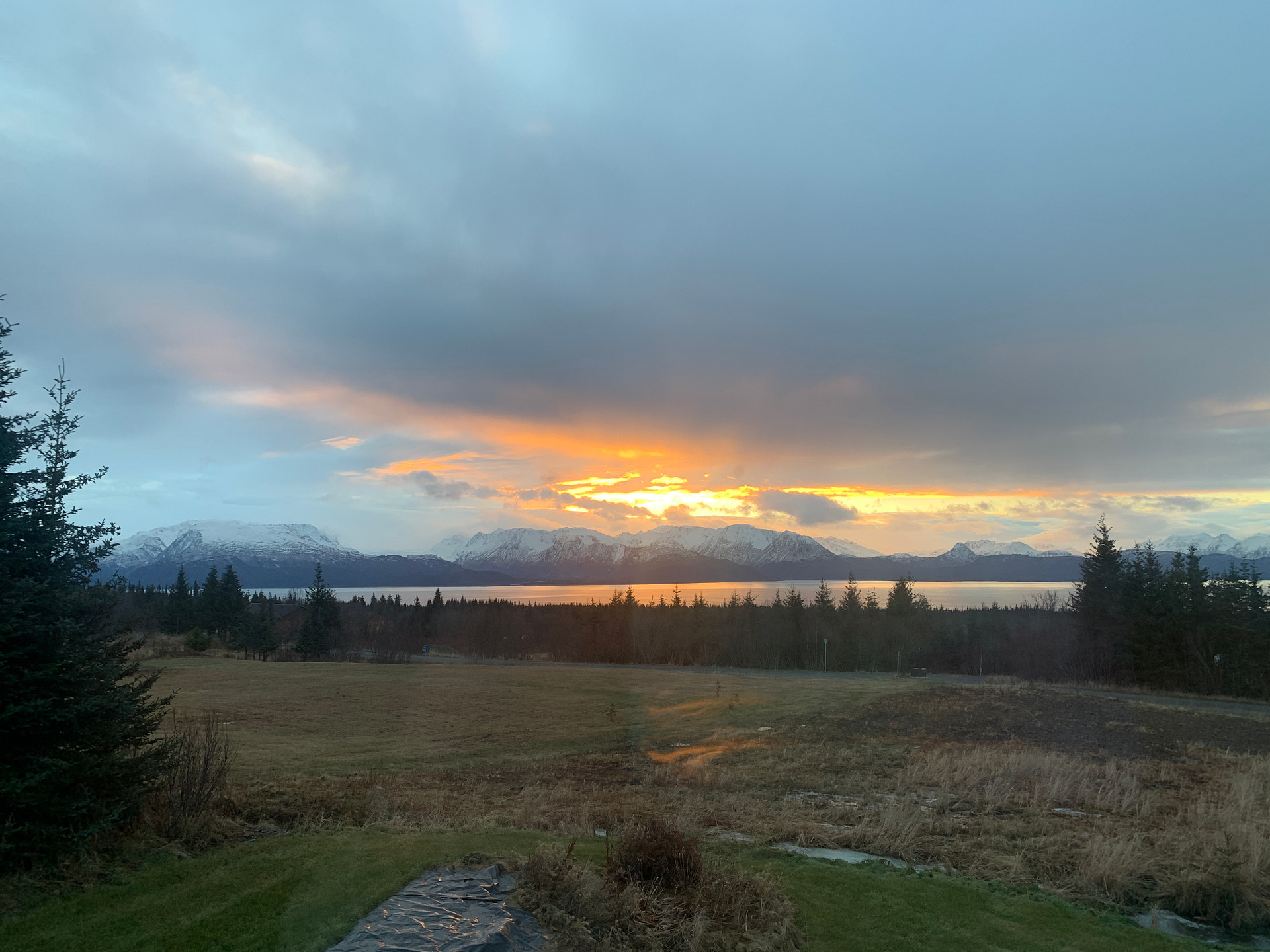 Kachemak Bay View