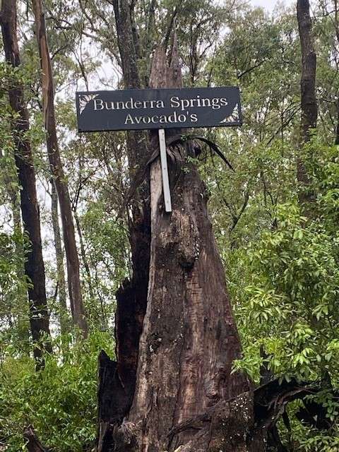 Look out for the sign "Bunderra Springs, Avocado's" at the entrance to the 137 acre Property