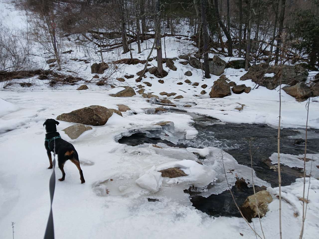 Abrams Creek Campground/Retreat