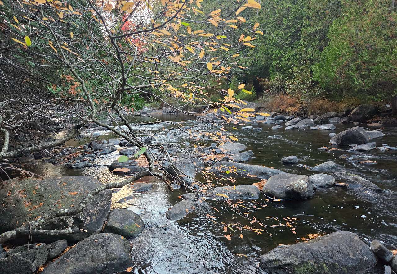 La rivière dans ses couleurs d'automne
