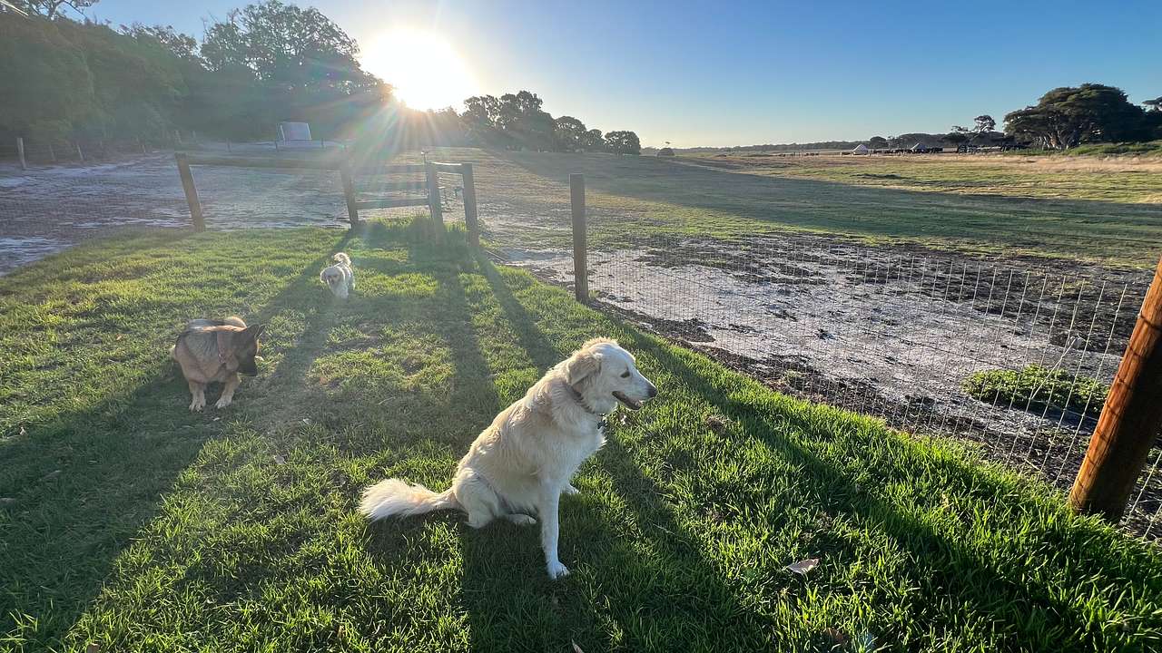 Dunmore Homestead Farmstay