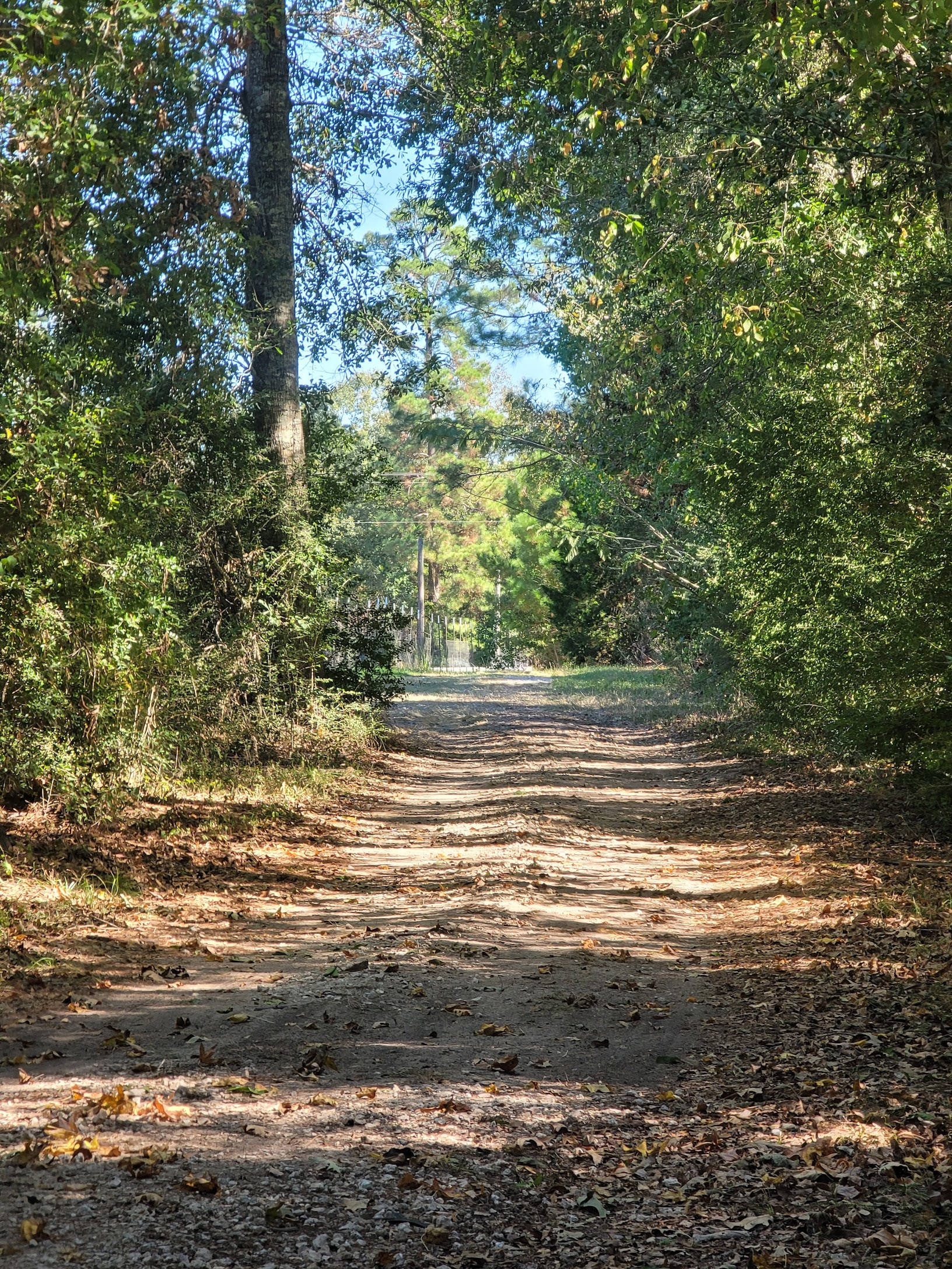 Enchanted For Rest