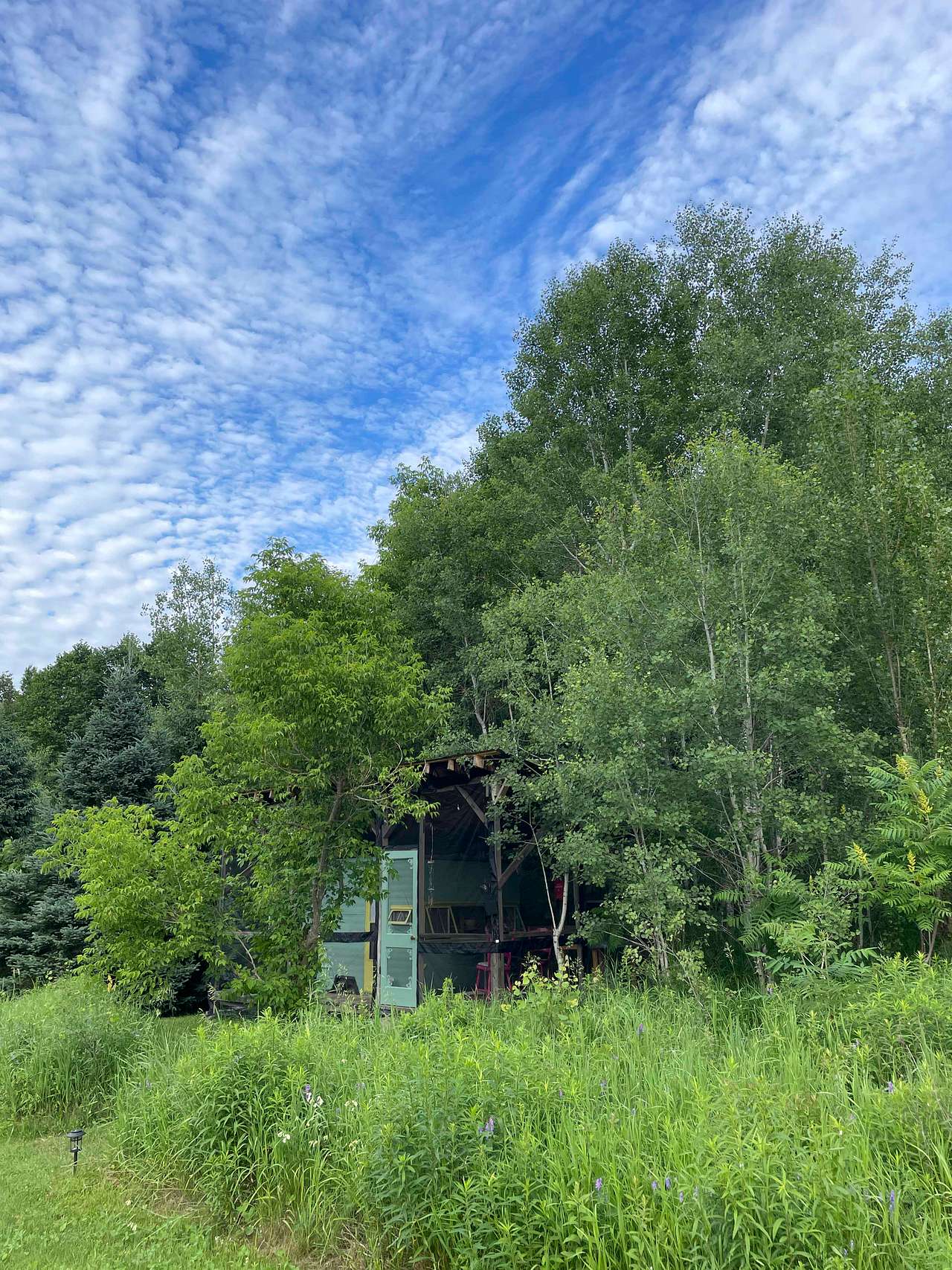 Poplar Grove