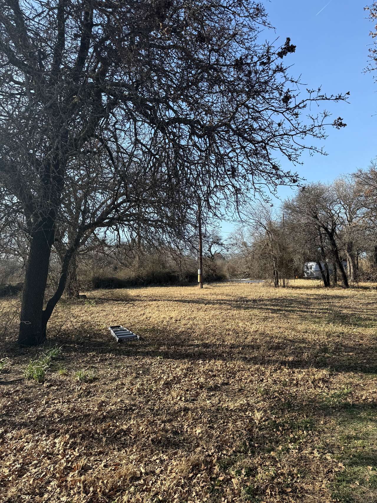 Agave Oaks