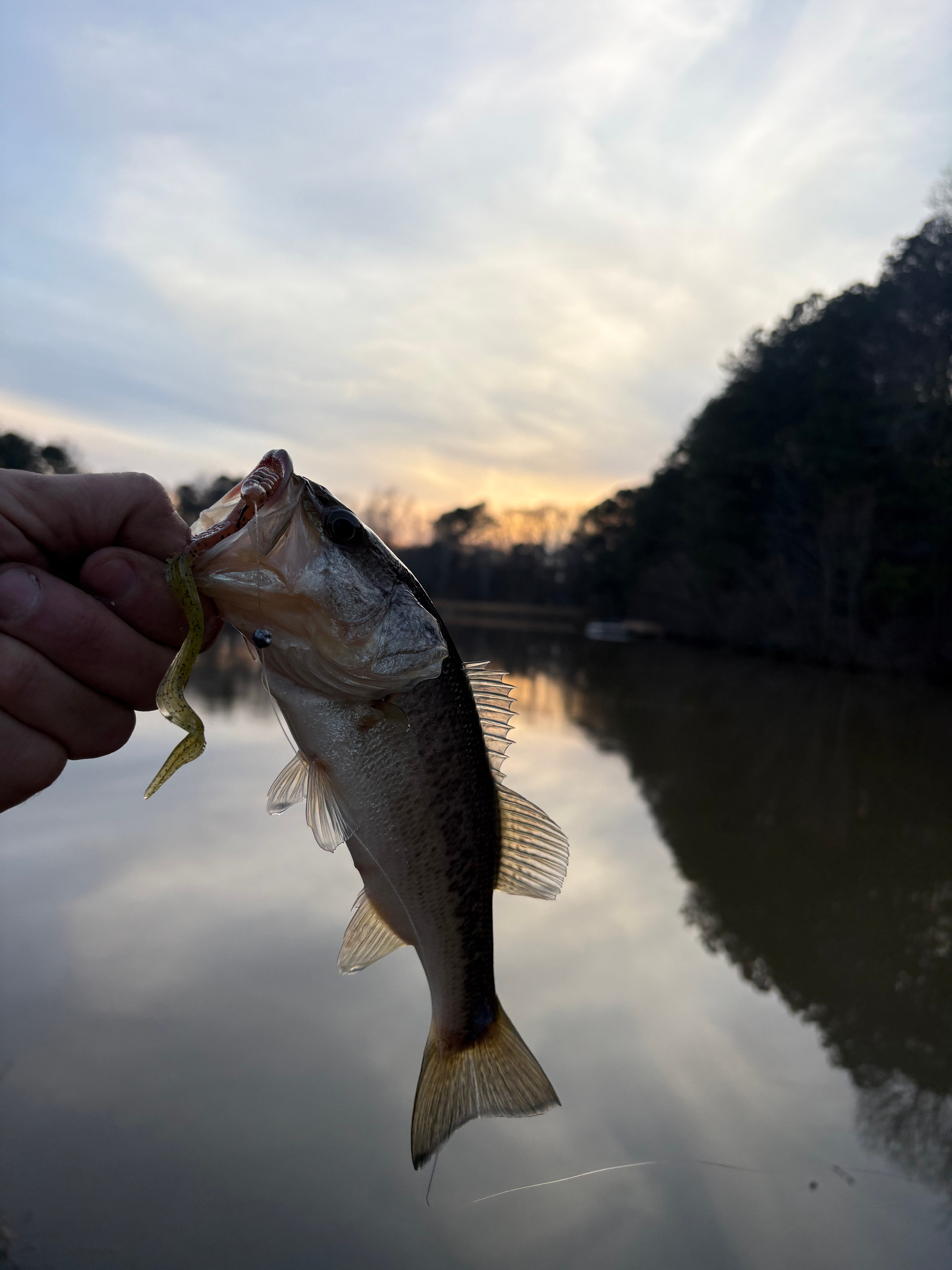 Bait Shack