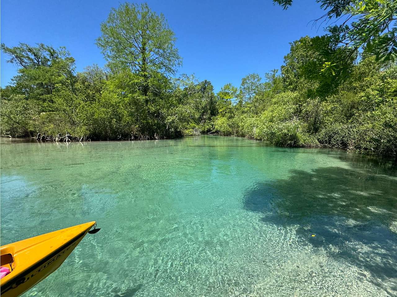 Weeki Cove- Private RV Campsite