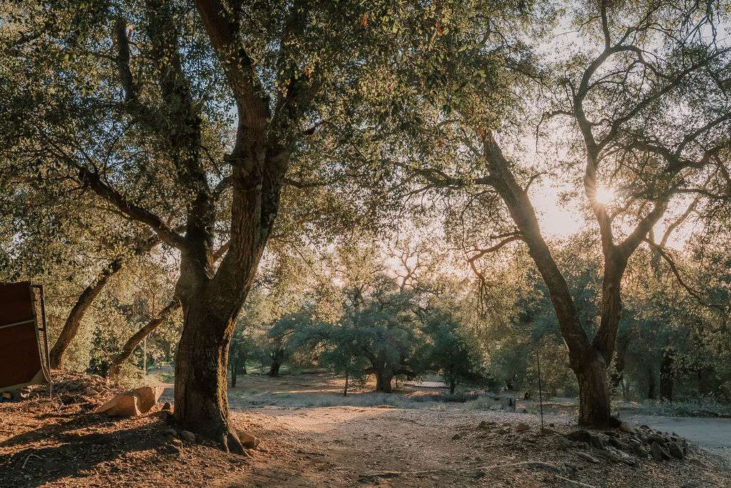 Harrison Serenity Ranch