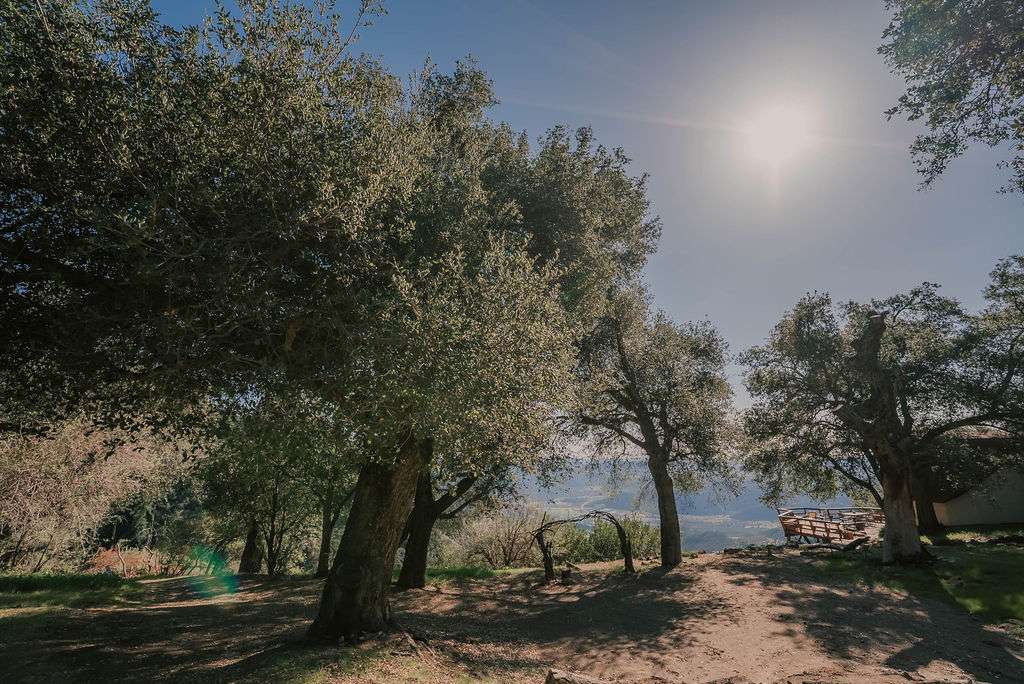 Harrison Serenity Ranch
