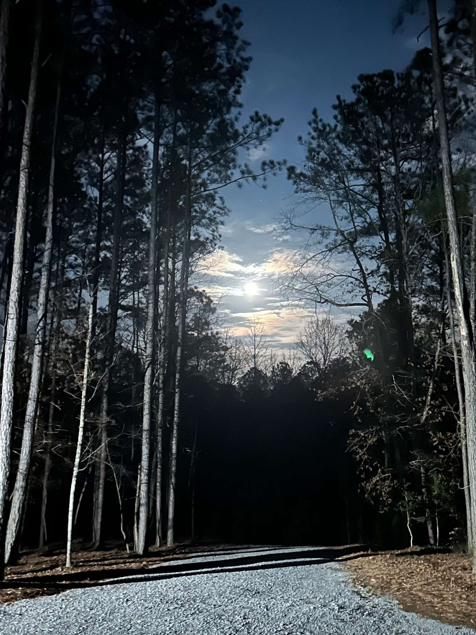 Sarana (peaceful refuge)