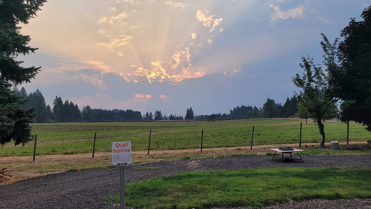 Down on the Farm