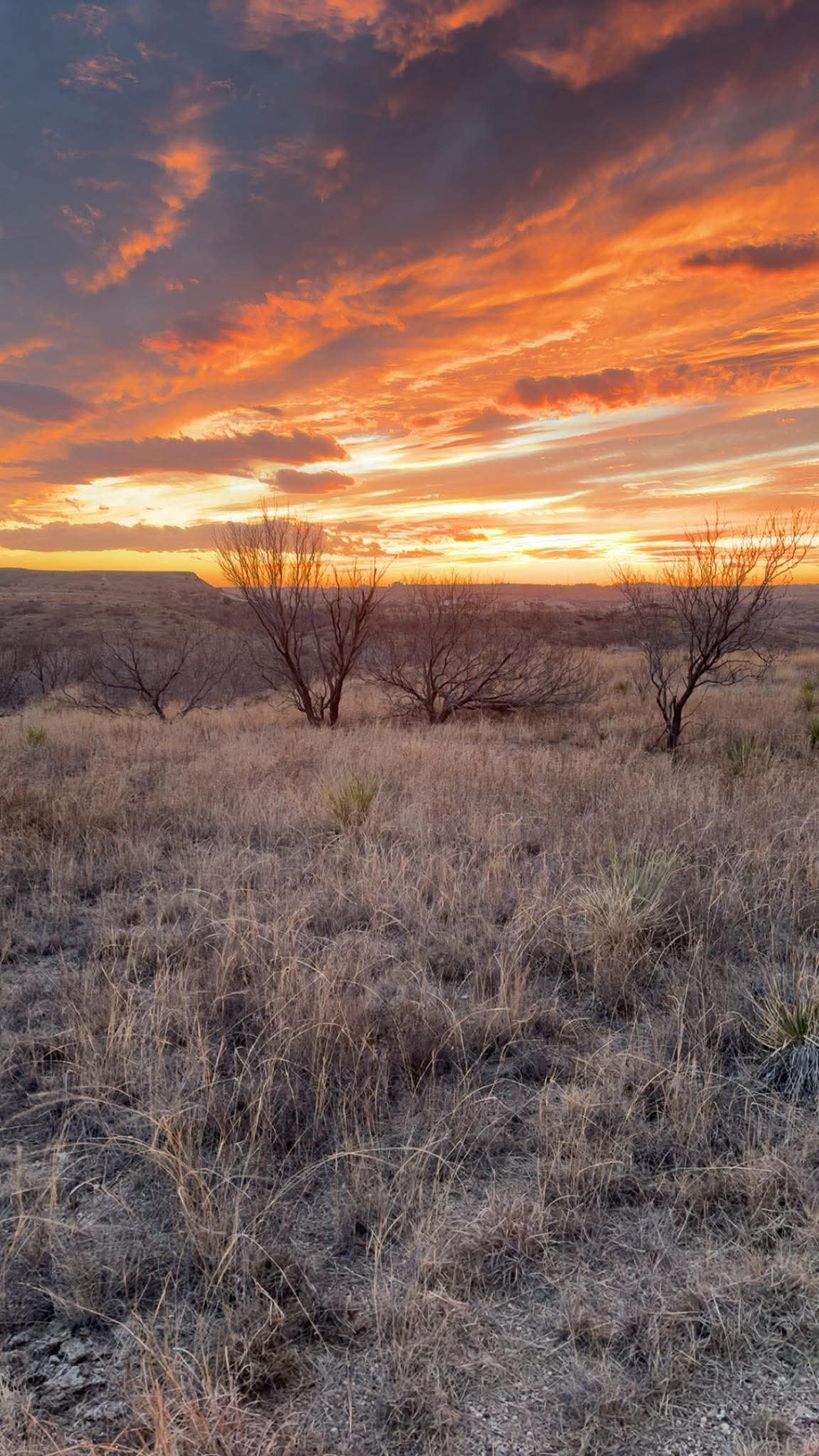 Mariposa Community Land Trust