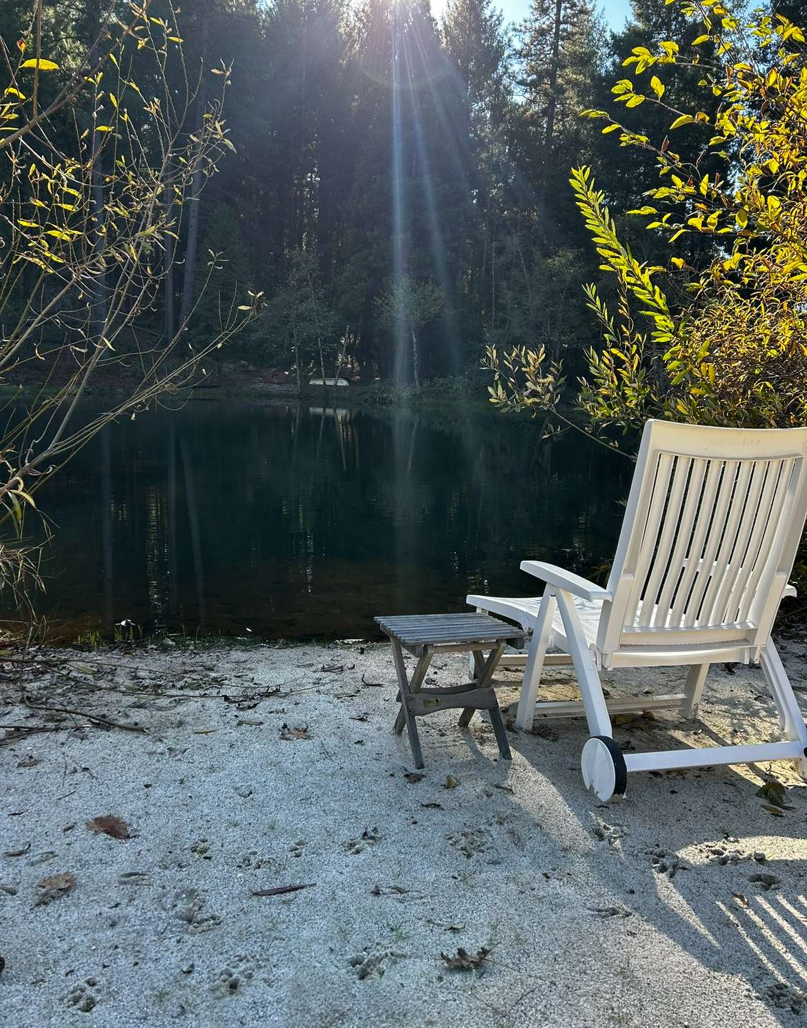 Pond side Beach 