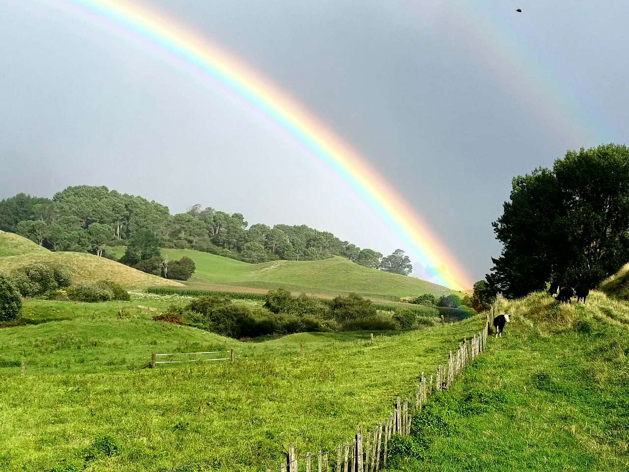 Clearbrook Farm