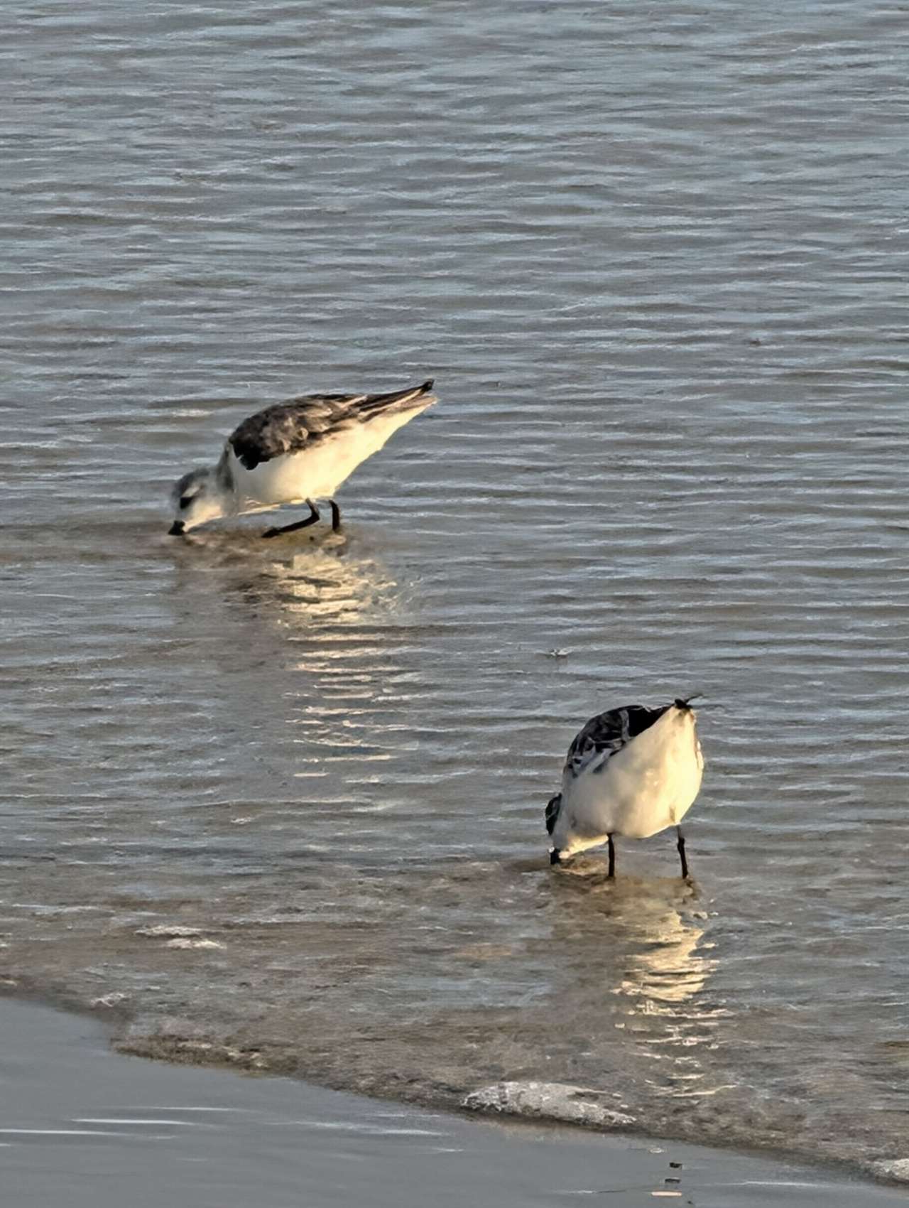 Gamble Rogers Memorial State Recreation Area