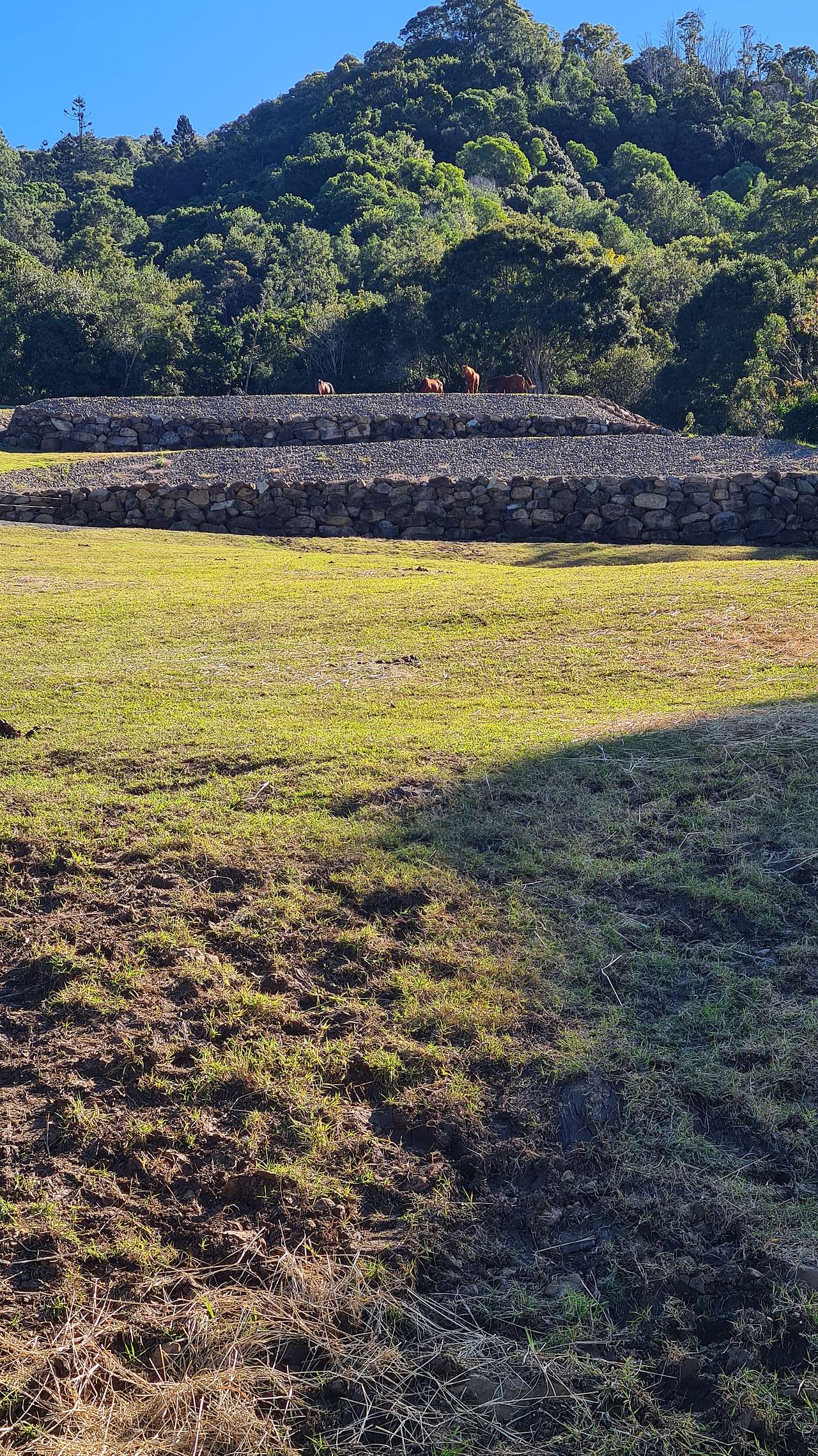 Witheren Homestead