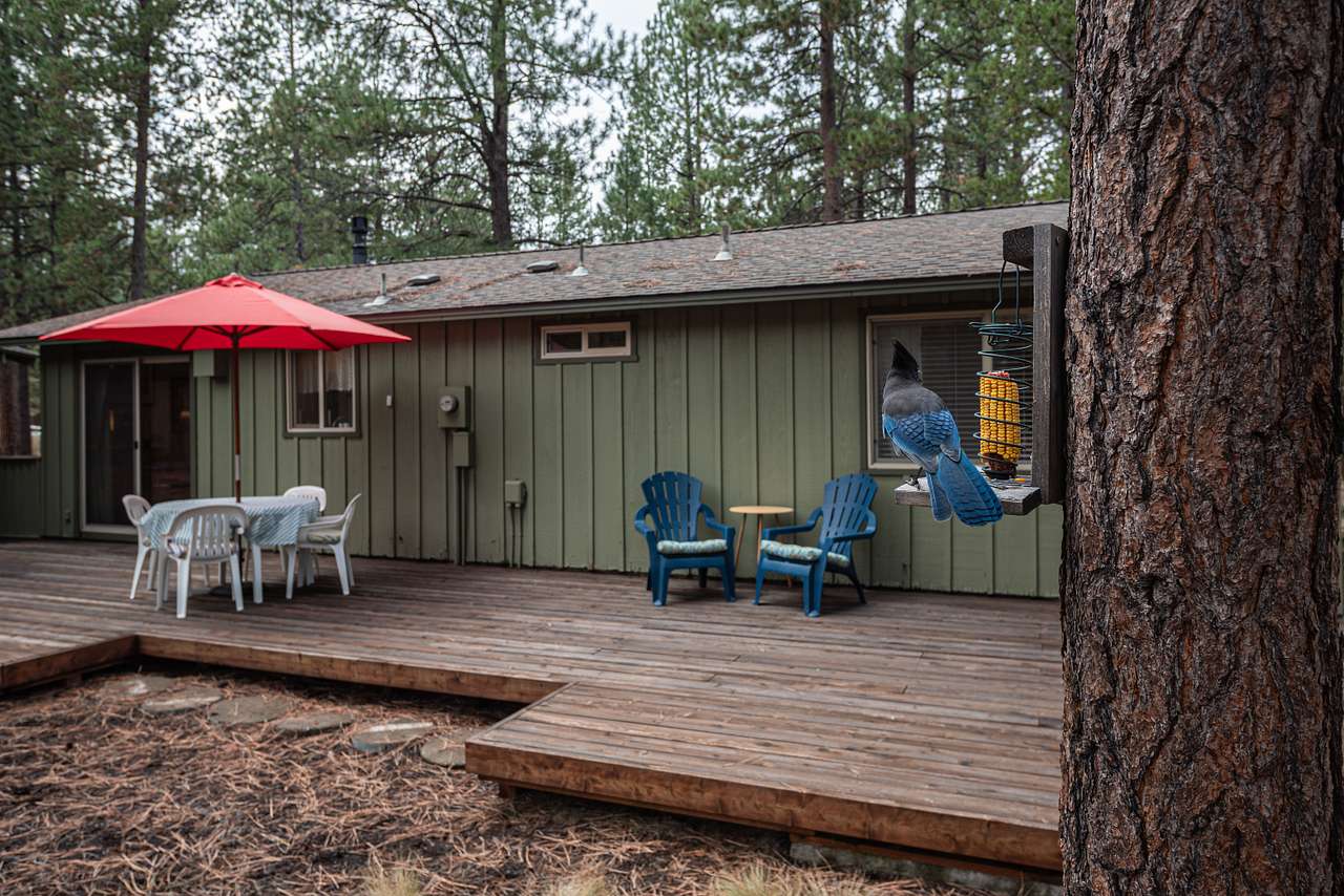 Cozy Analog Sunriver Escape