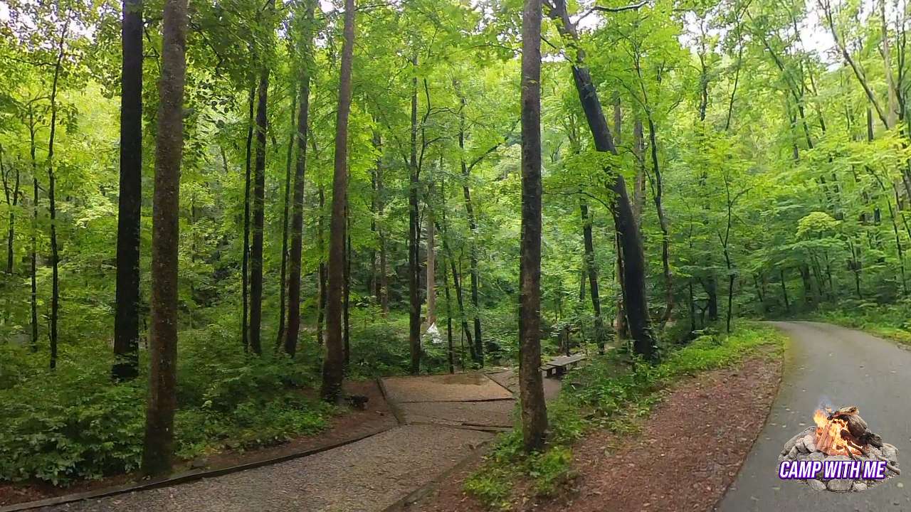 Andrews Cove Campground
