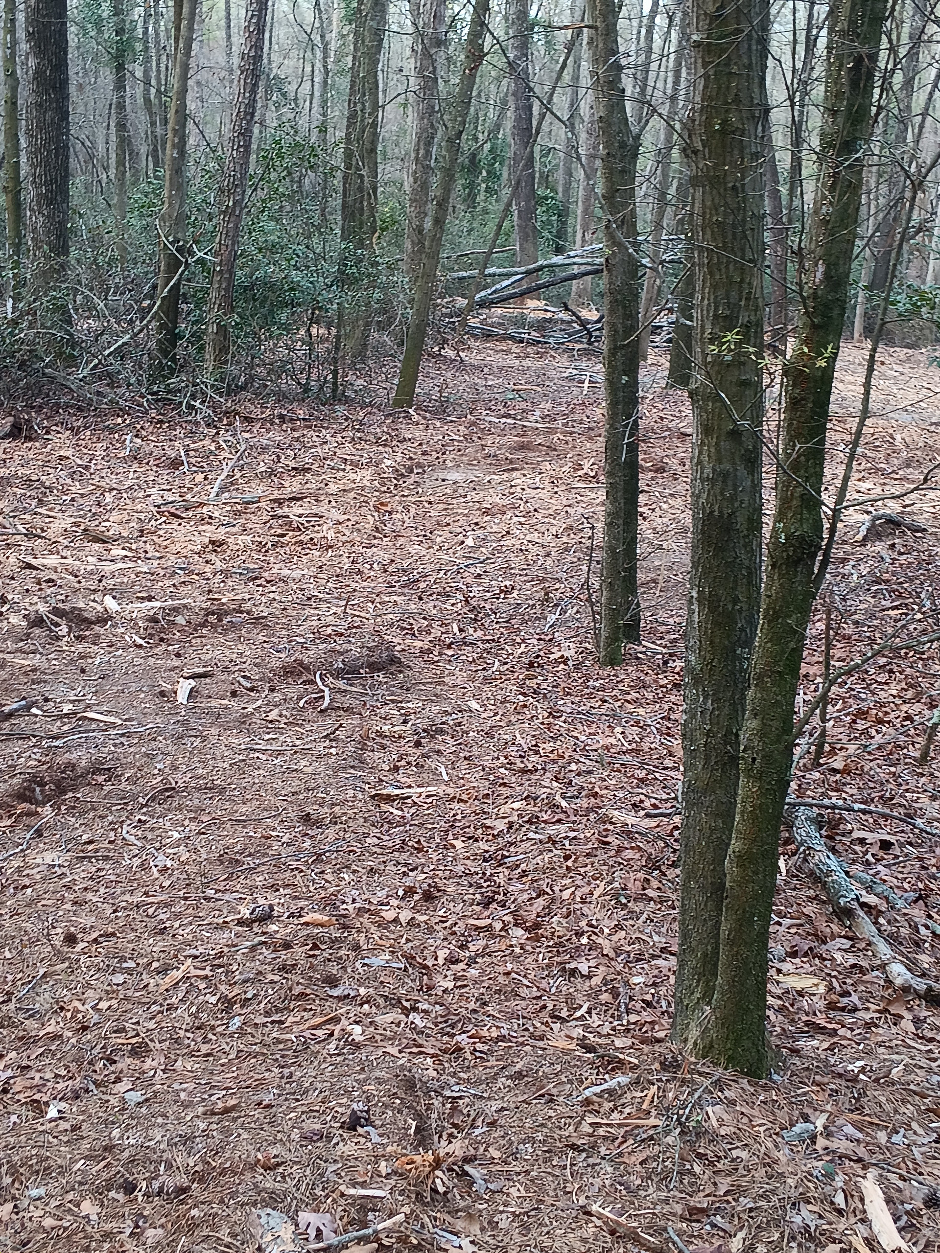 Victoria's Camp Aiken/Augusta Area