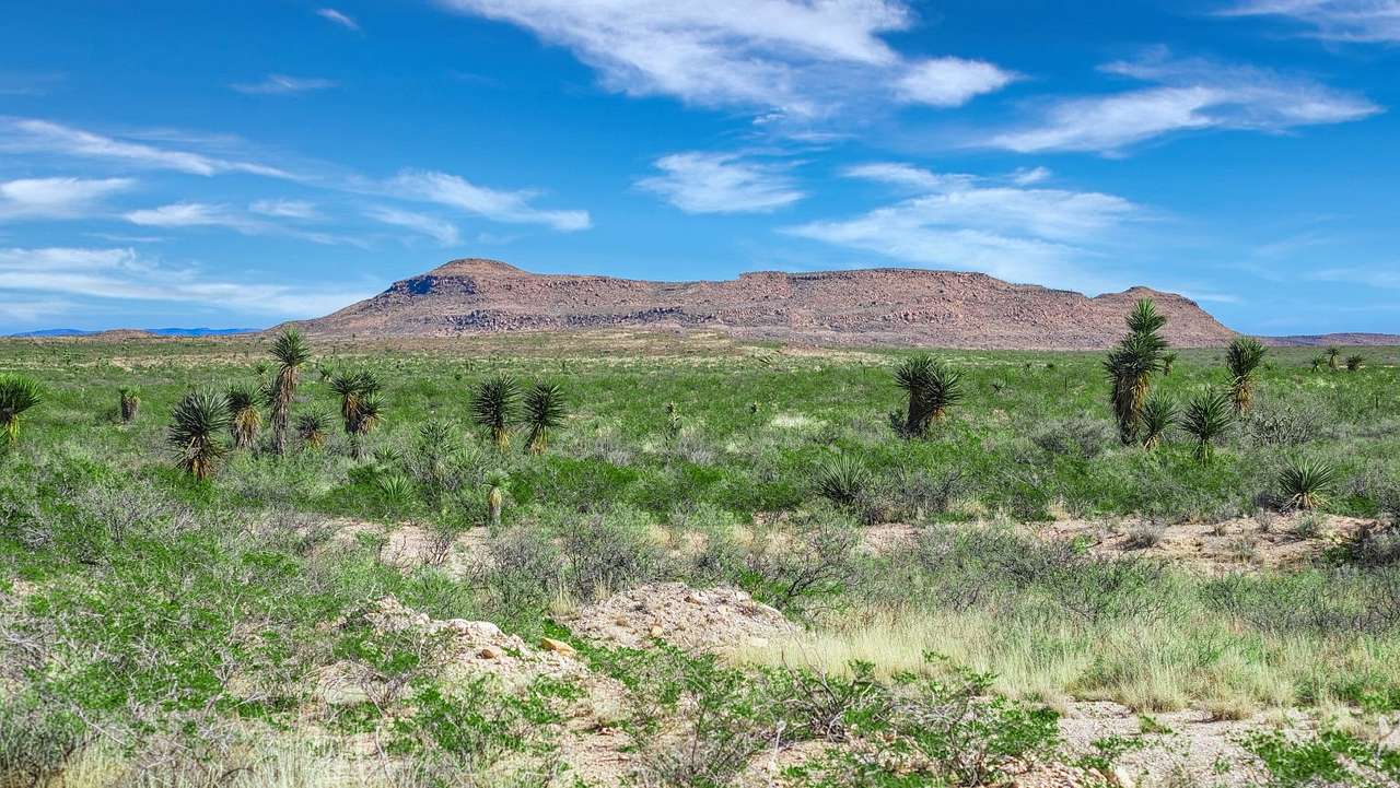 Off-Grid TX Desert Camping 20 Acres