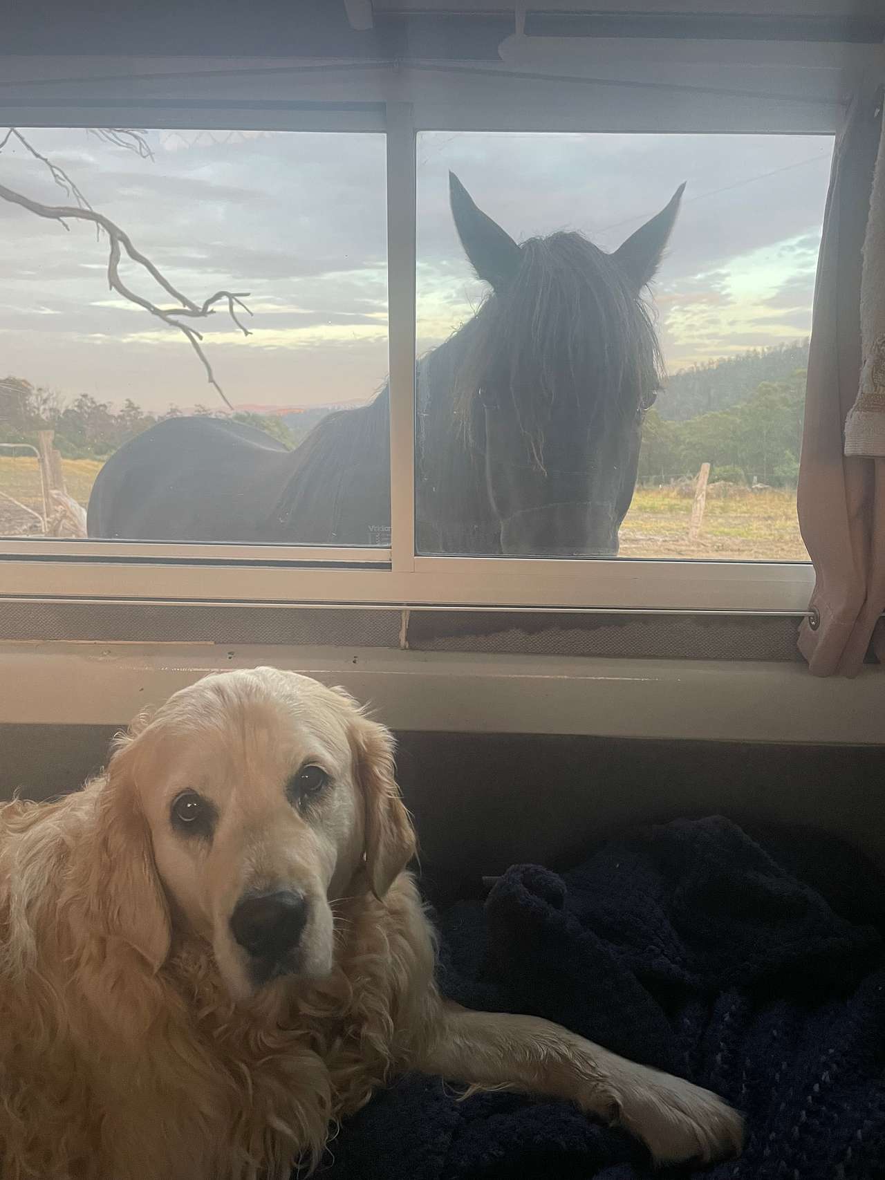 Luna hoping it not true