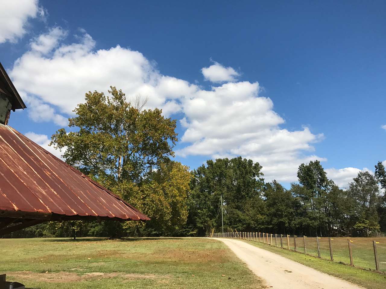 The Sycamore Tree Farm