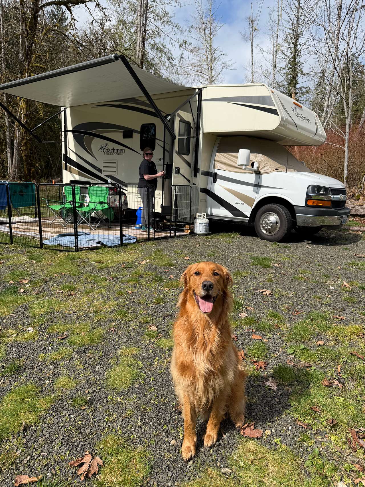 Camp Cushman