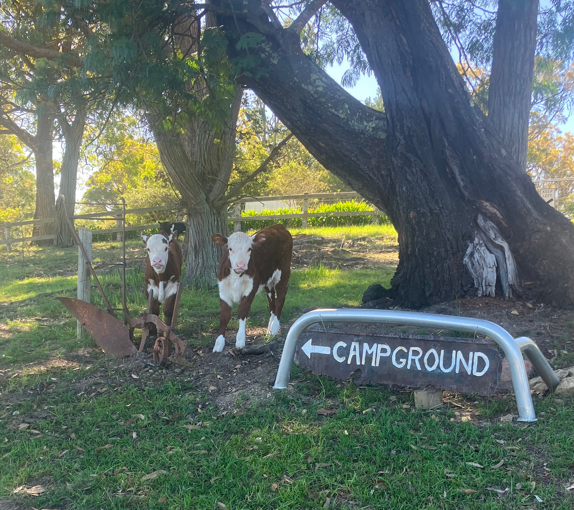 Pepper’s Farmstay South Coast