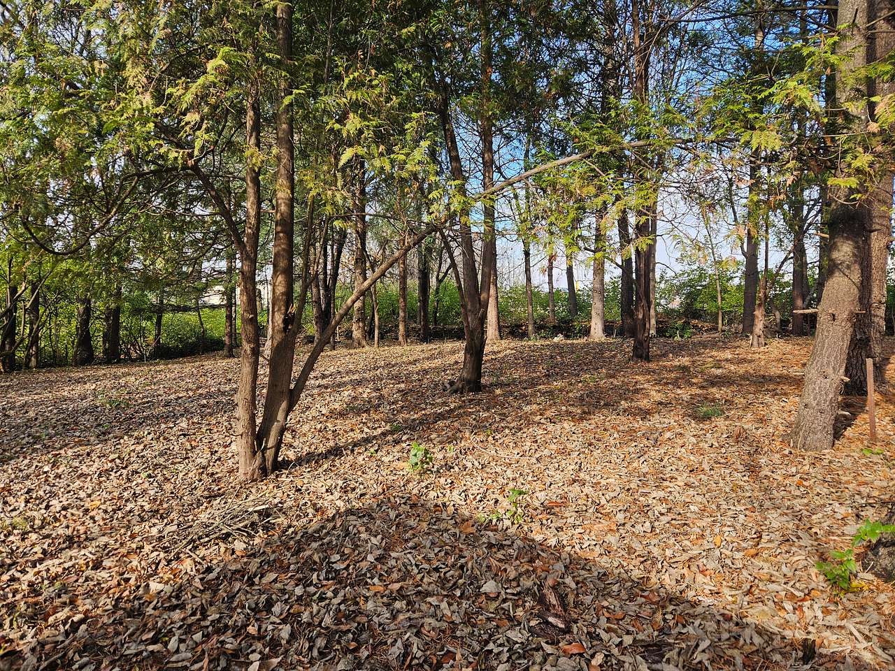 Lalu Acres