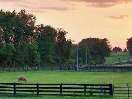 Harmony Acres