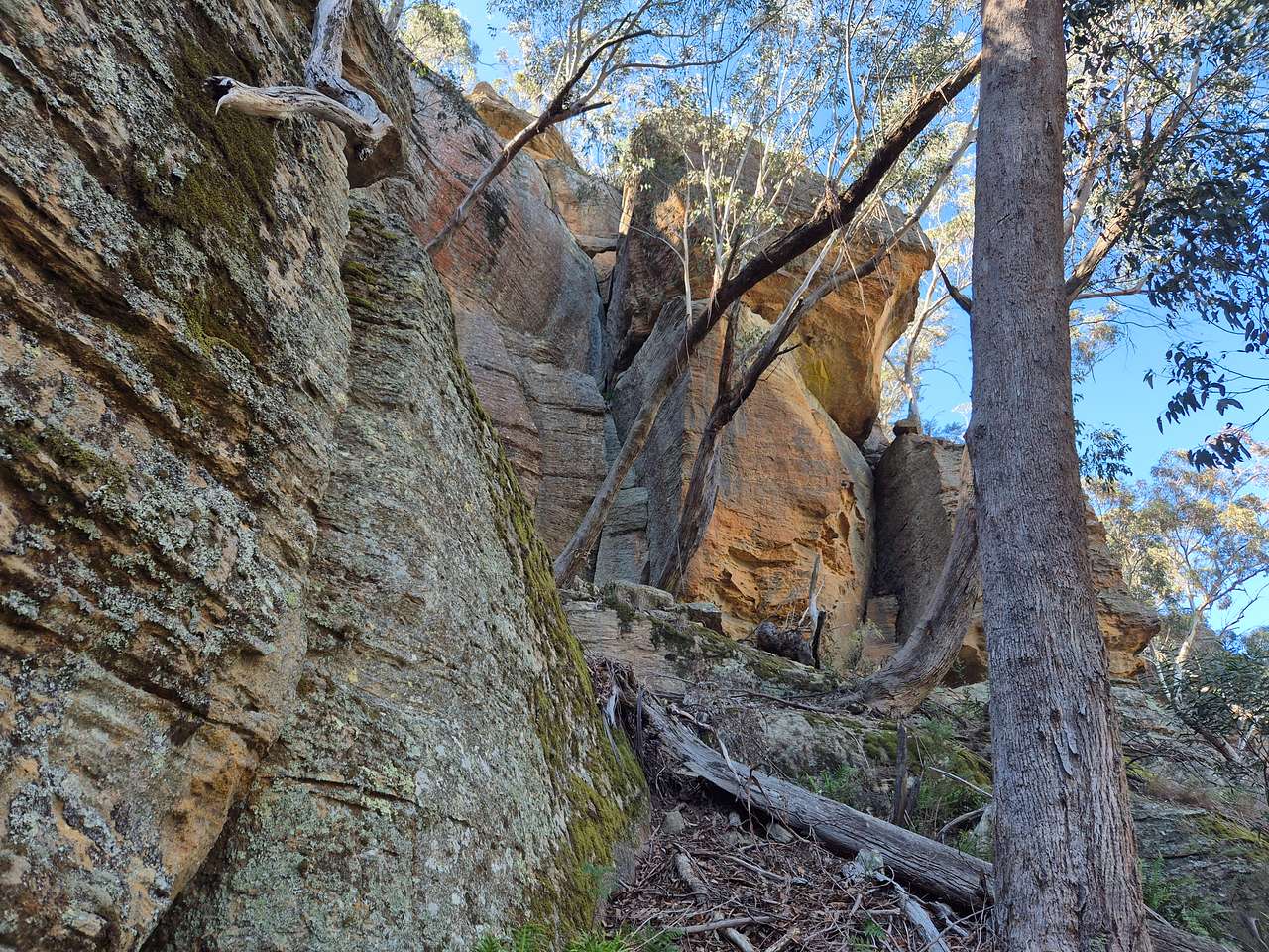 Blue Mountains Glamping Retreat