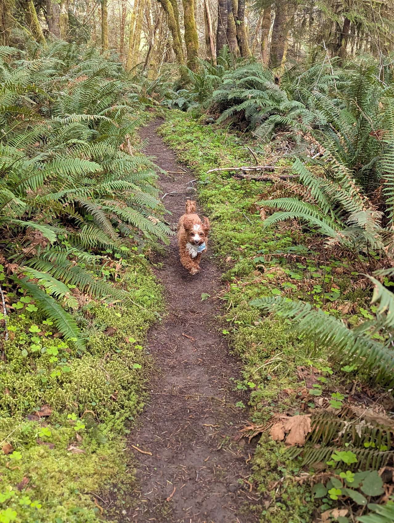 Alsea Valley Farm