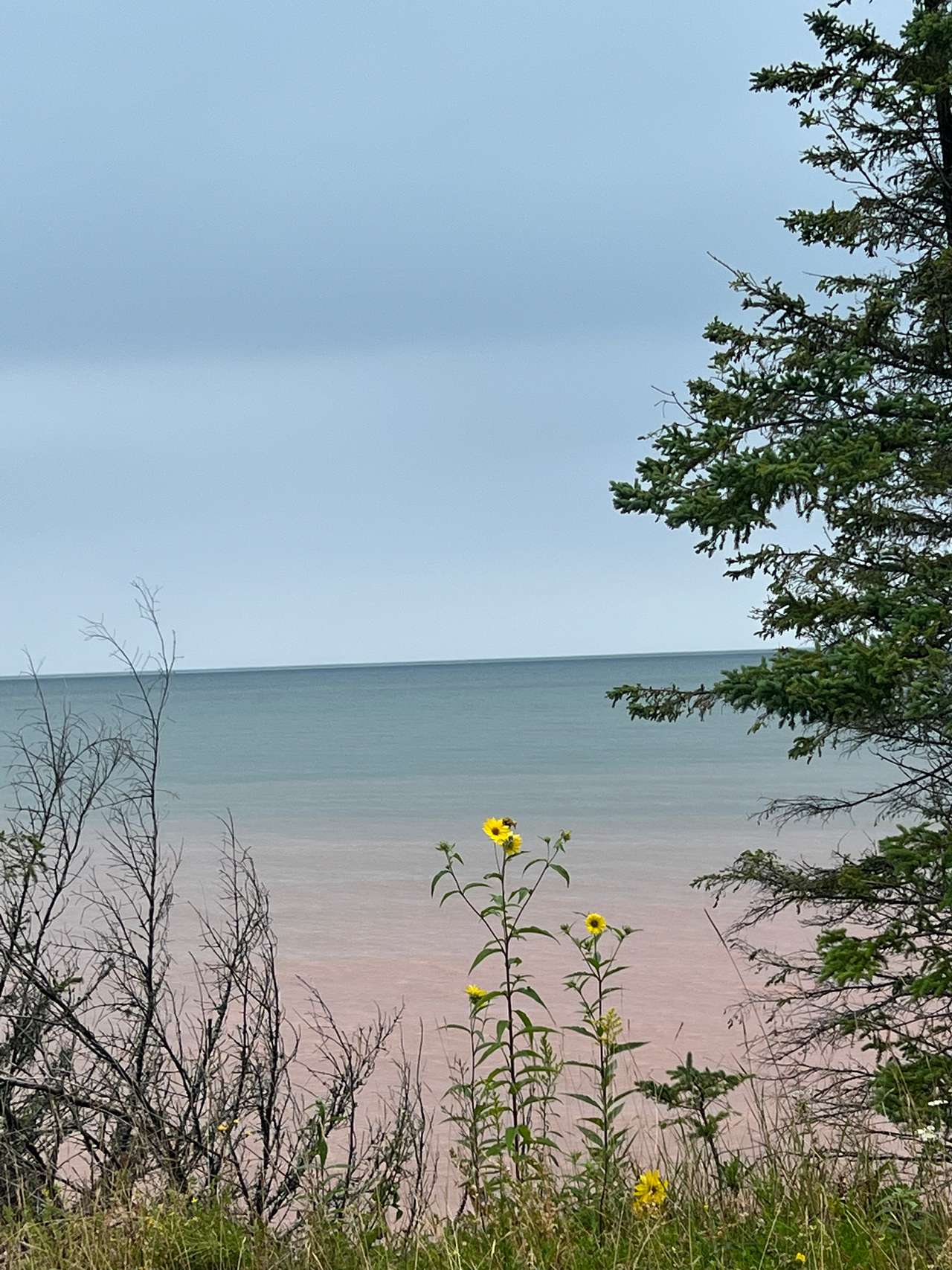 Lake Superior Beauty