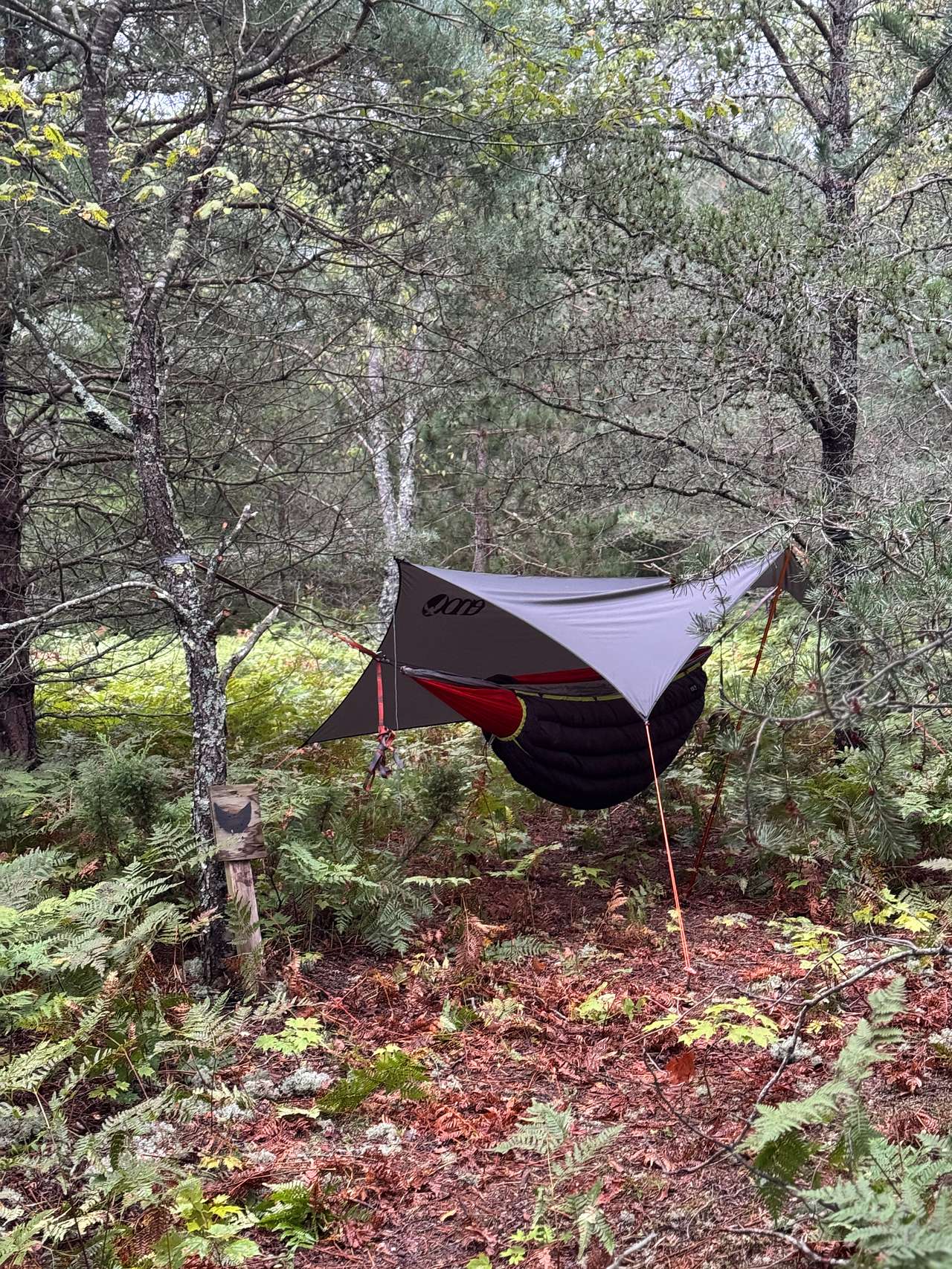 Hammock Site nearest the carport