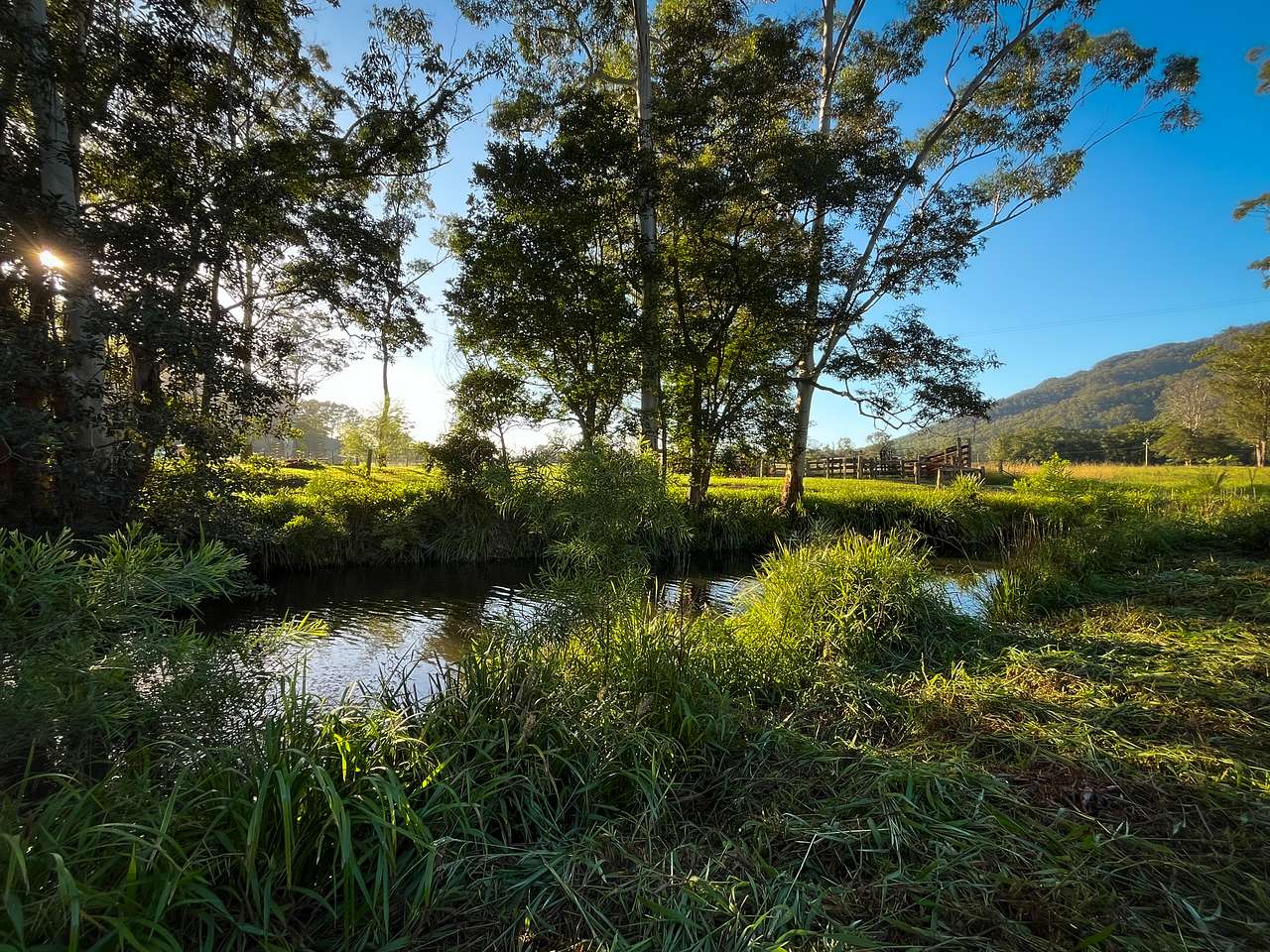 Misty Creek Farm Stay