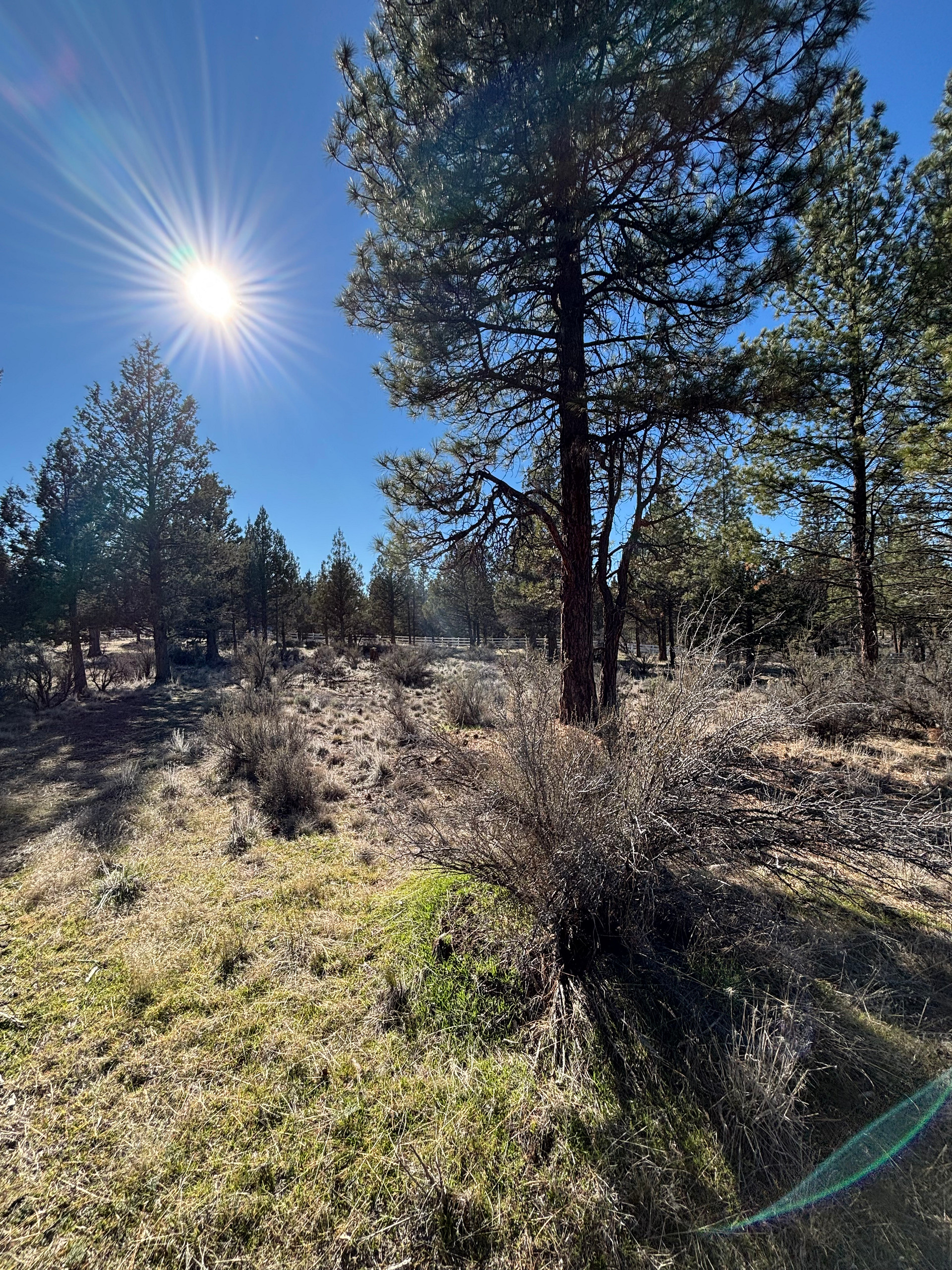 High Desert Nook