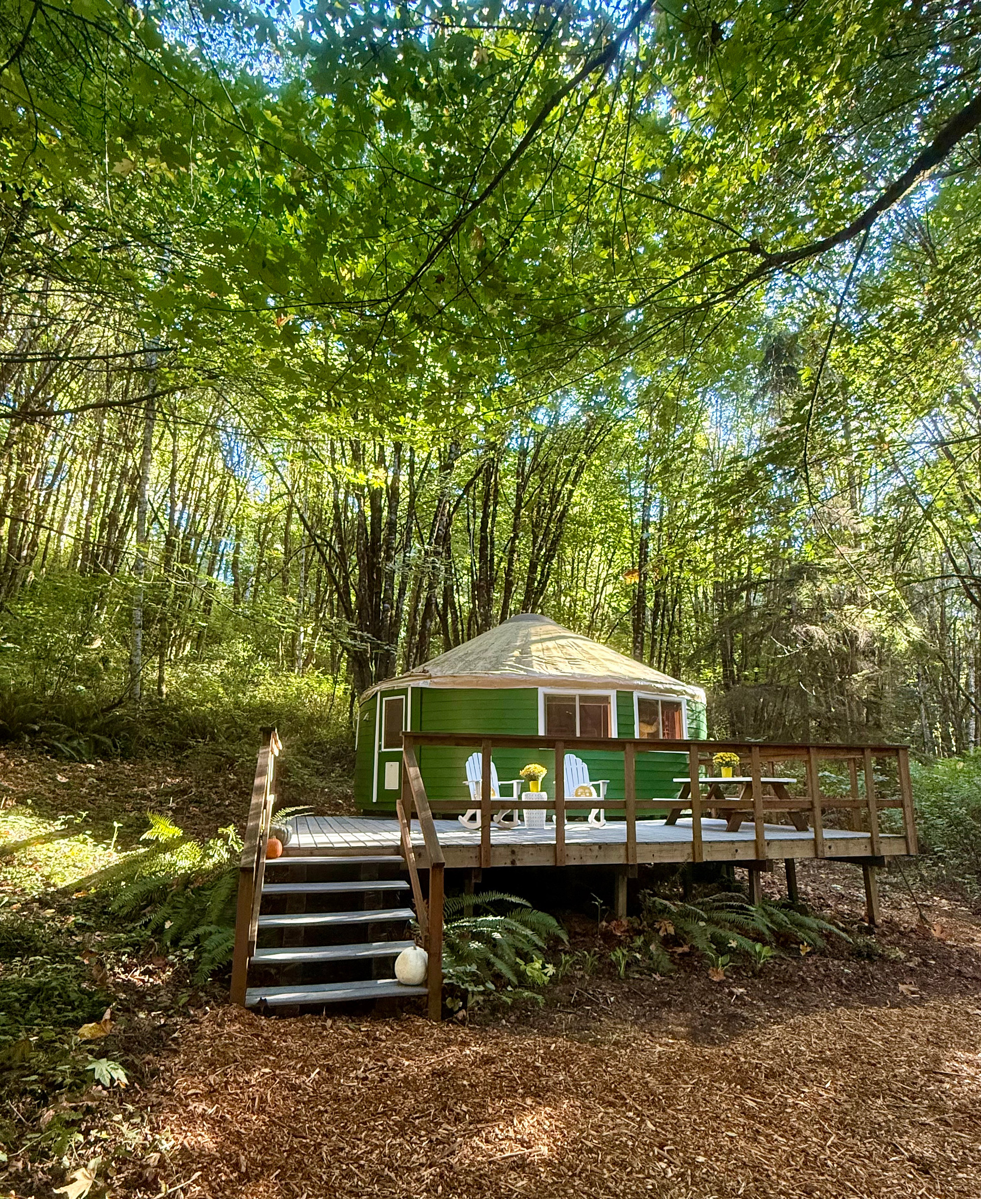 Secluded Forest Yurt