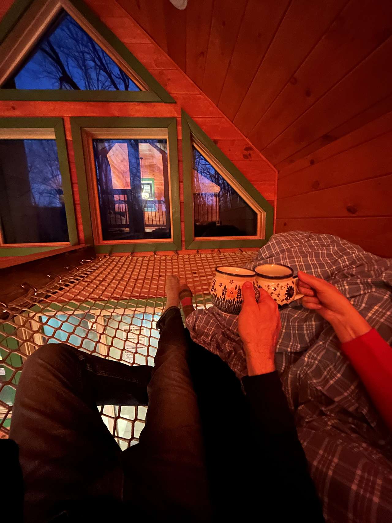 Beary Cozy Treehouse