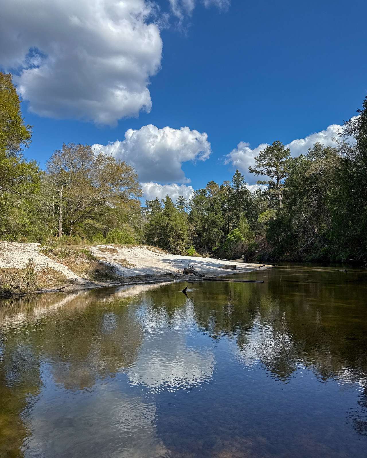 Blackwater River