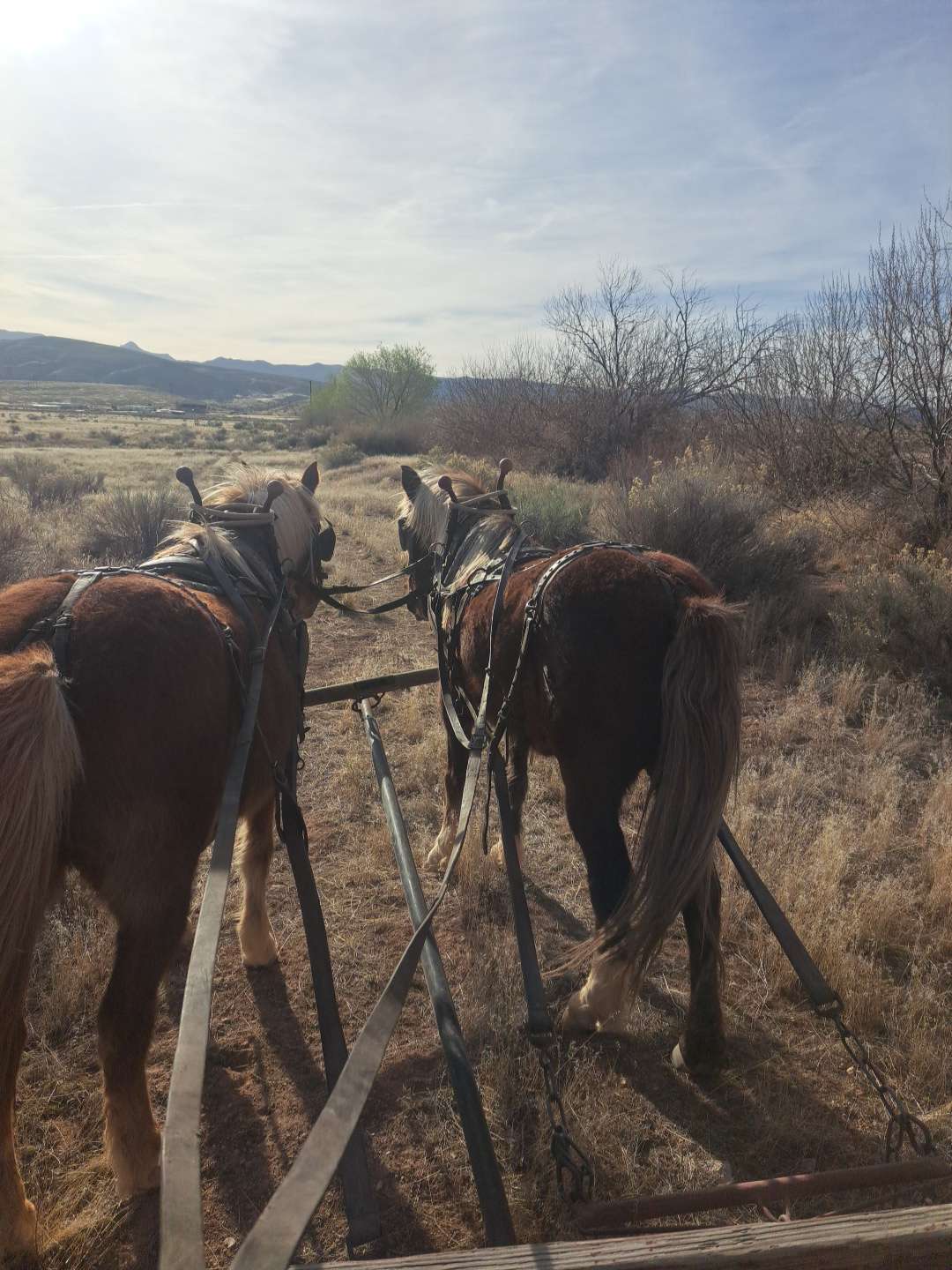 Skiver Ranch