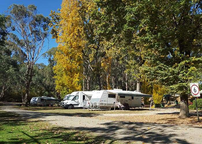 Beechworth Holiday Park