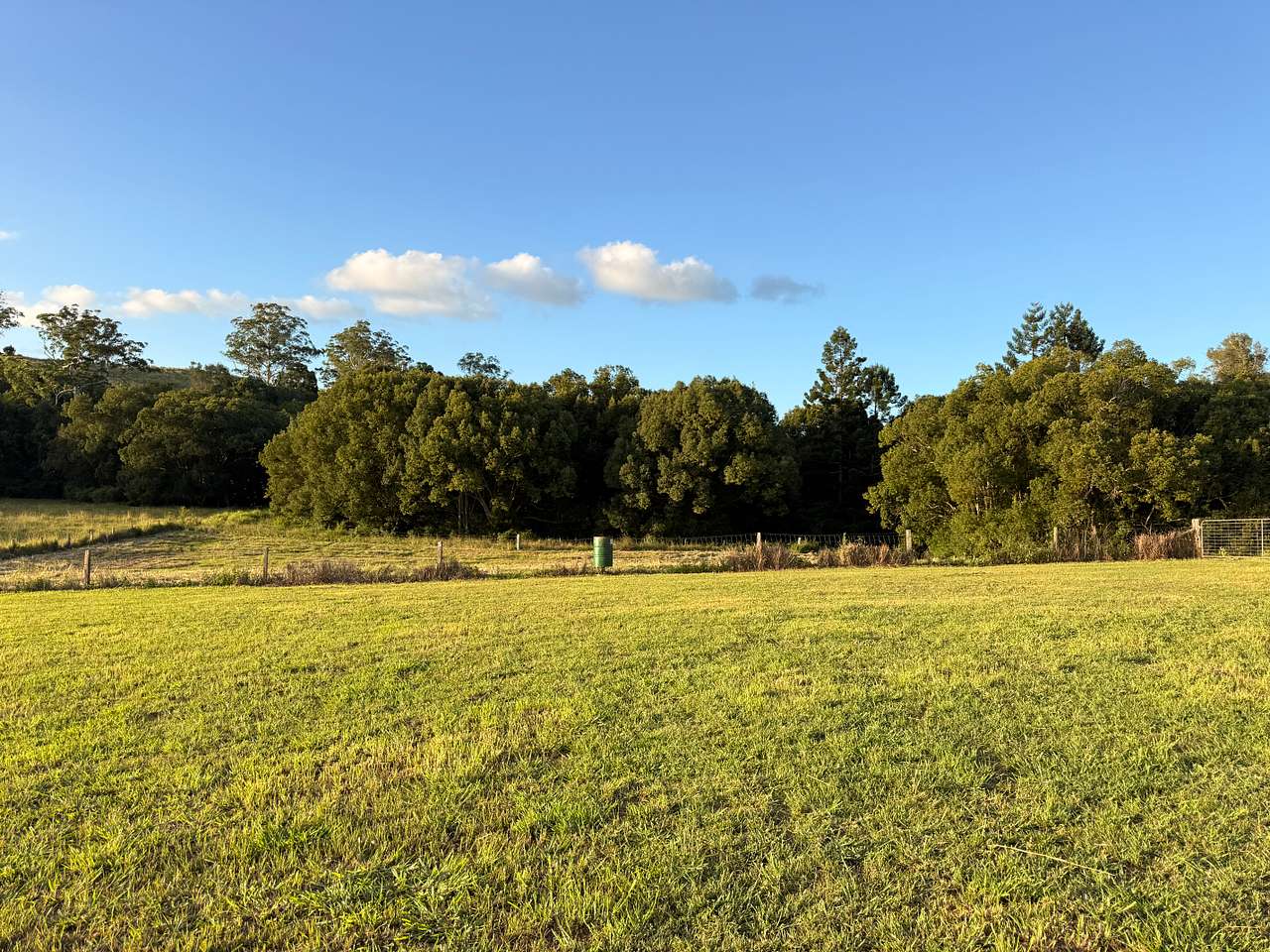 Site 5 
